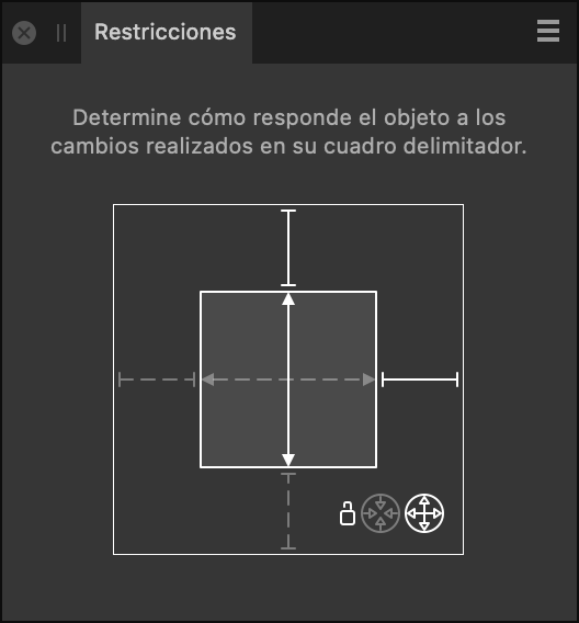 Panel Restricciones