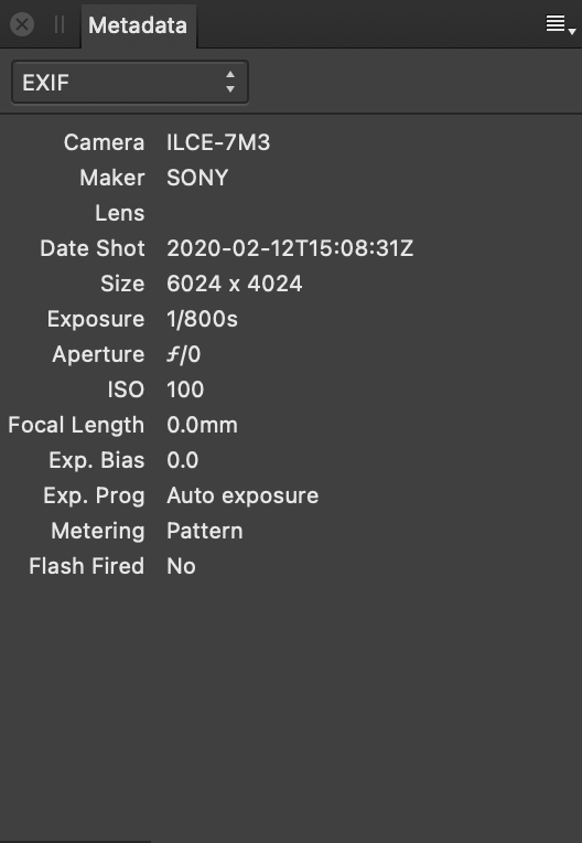 Metadata panel showing EXIF fields describing camera hardware and settings when an image was shot