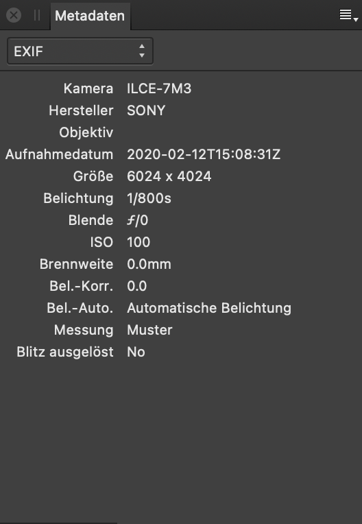 Das Panel für Metadaten mit EXIF-Feldern zu der Kamera und den Einstellungen, die bei der Aufnahme des Fotos verwendet wurden.