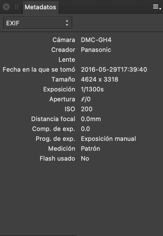 Panel Metadatos que muestra campos EXIF que describen el hardware y la configuración de la cámara cuando se tomó una imagen