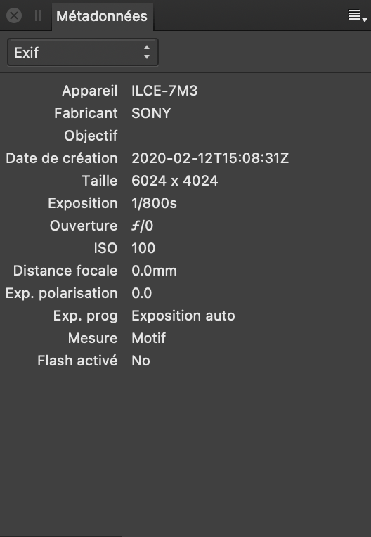 Sous-fenêtre Métadonnées affichant les champs Exif décrivant le matériel et les paramètres de la caméra lors de la prise de vue d’une image