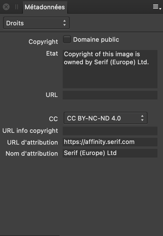 Sous-fenêtre Métadonnées affichant les informations sur les droits d’une image