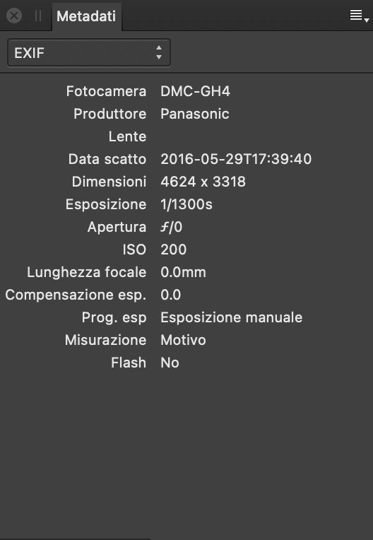 Pannello dei metadati con i campi EXIF che descrivono l’hardware e le impostazioni della fotocamera quando è stata scattata l’immagine