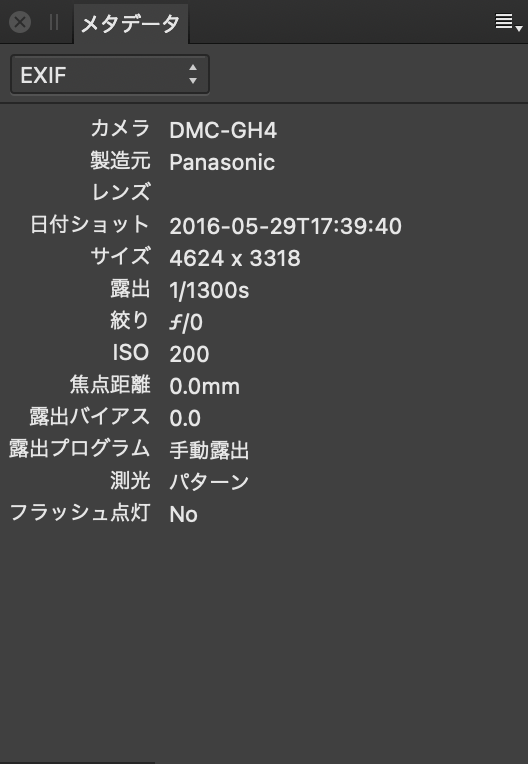 画像が撮影されたときのカメラのハードウェアと設定を説明するEXIFフィールドを示すメタデータパネル