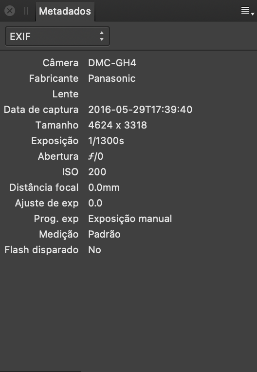 Painel Metadados mostrando campos EXIF com descrição de configurações e hardware de câmera quando a imagem foi tirada