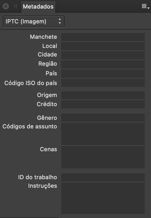 Painel Metadados mostrando campos IPTC que descrevem o conteúdo, a fonte e os créditos da imagem