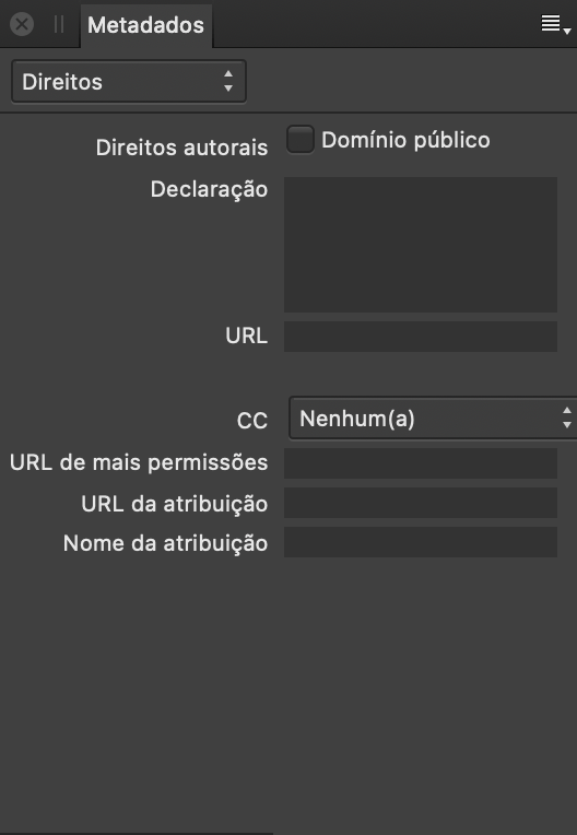 Painel Metadados mostrando informações de direitos sobre uma imagem