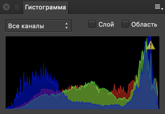 Панель «Гистограмма»