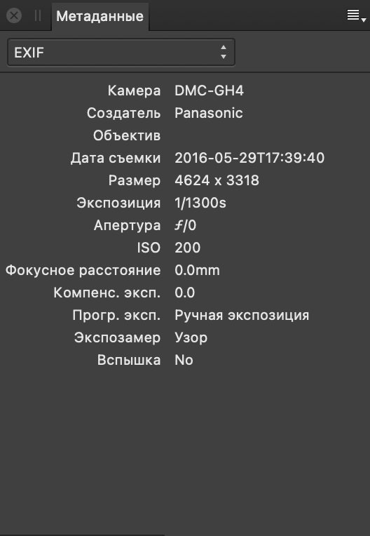 Панель «Метаданные» с полями EXIF, описывающими оборудование и настройки камеры при съемке изображения