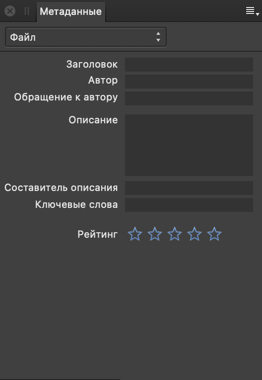 Панель «Метаданные» с описанием создания изображения и информацией об авторе