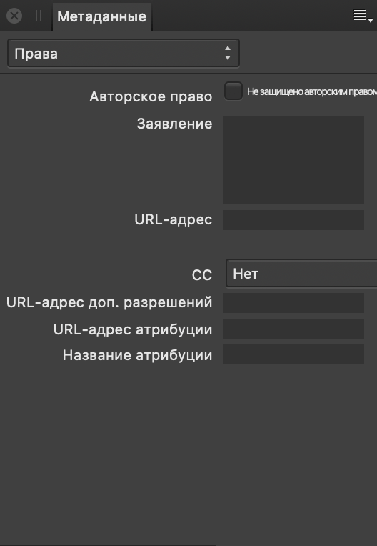 Панель «Метаданные» с информацией о правах на изображение