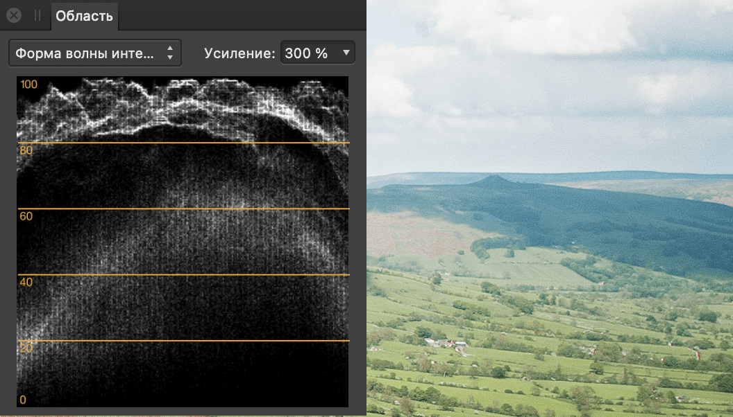 Панель «Область» и фотография