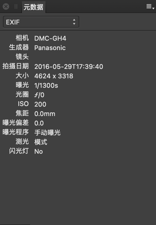 “元数据”面板显示 EXIF 字段，这些字段描述了拍摄图像时的相机硬件和设置