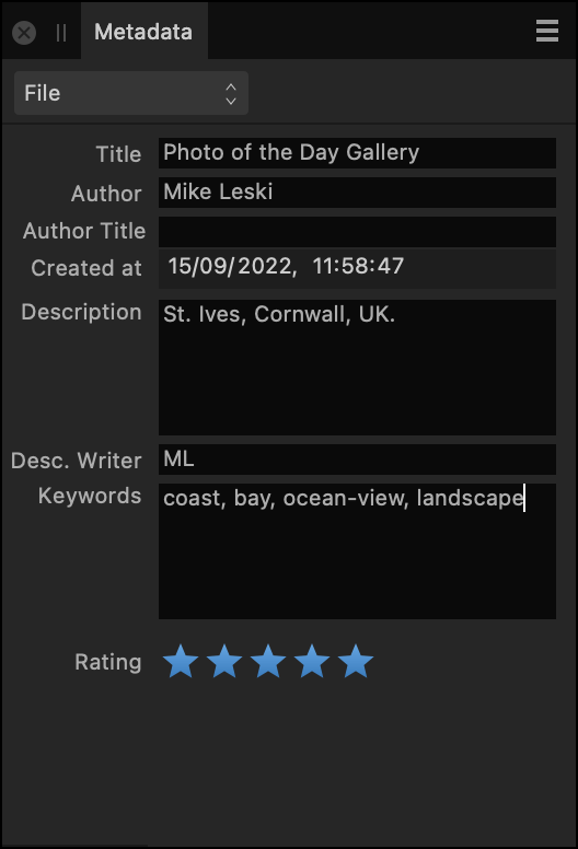 Metadata panel showing generation image description and author details