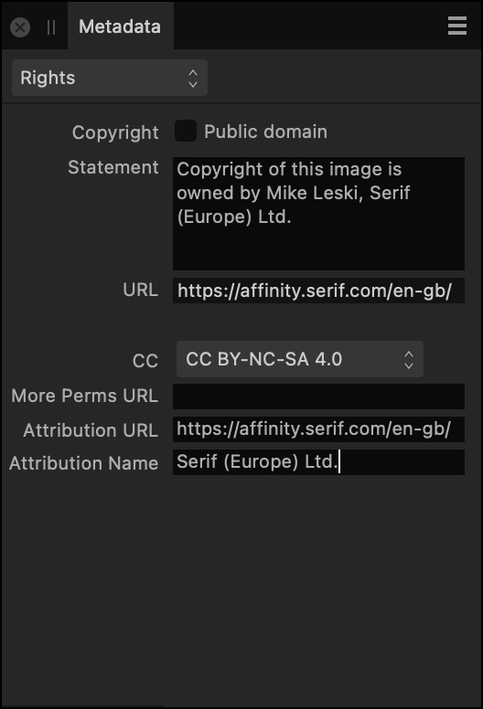 Metadata panel showing rights information about an image