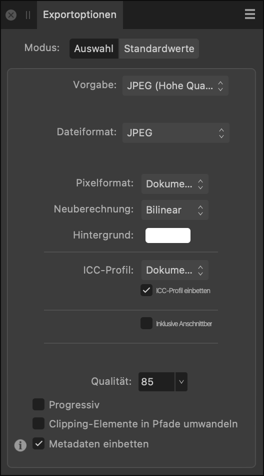 Das Panel "Exportoptionen"