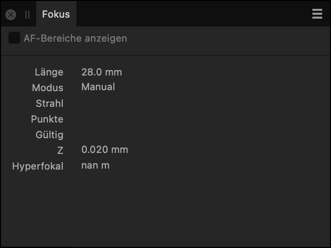 Das Panel "Fokus"