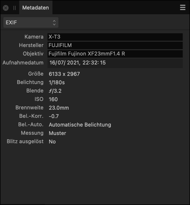 Das Panel für Metadaten mit EXIF-Feldern zu der Kamera und den Einstellungen, die bei der Aufnahme des Fotos verwendet wurden.