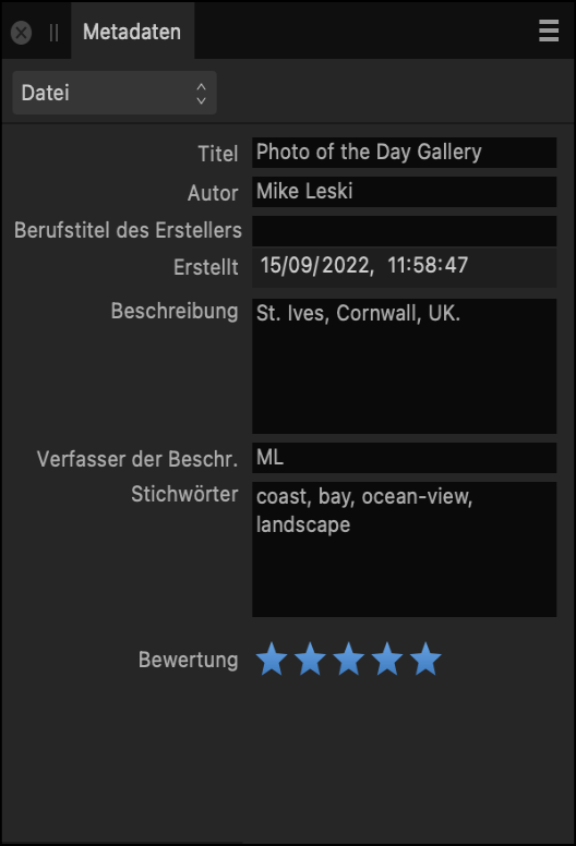 Das Panel für Metadaten mit den Informationen zur Erstellung und dem Autor des Bildes.