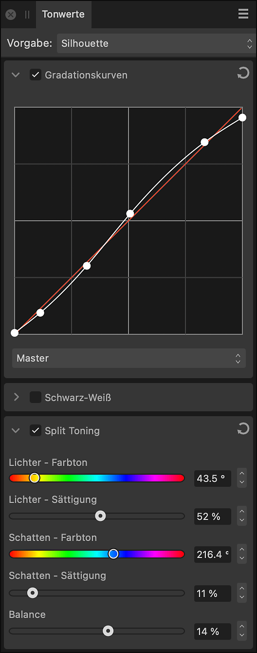 Das Panel für Tonwerte in der Develop Persona