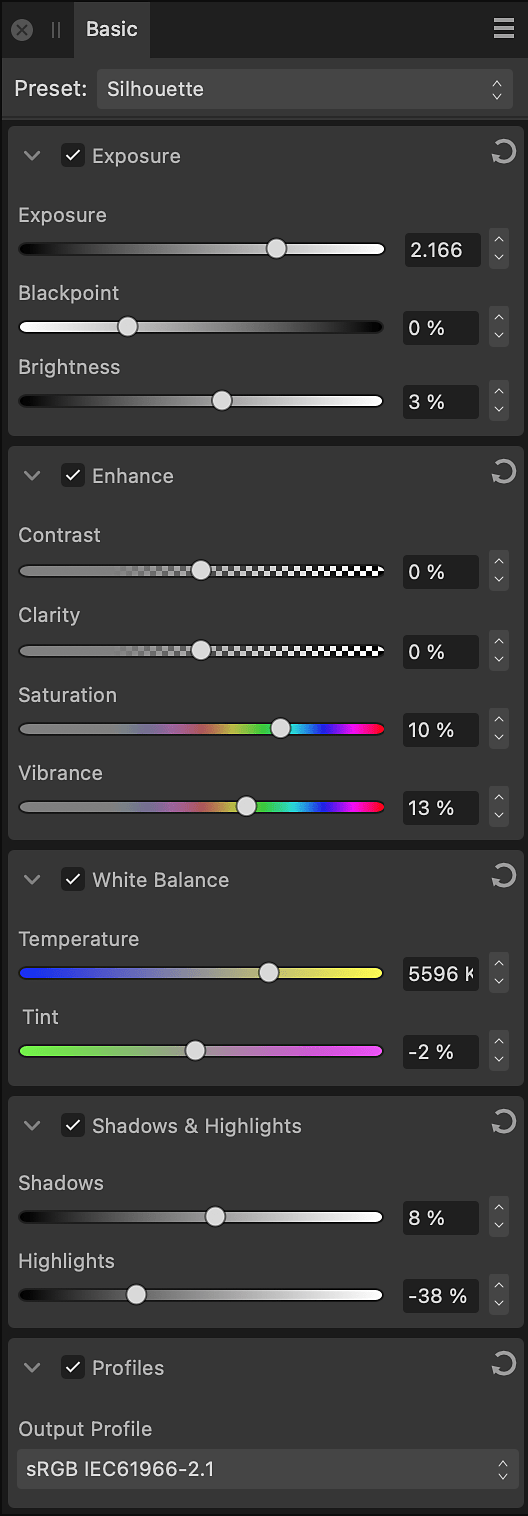 Basic panel