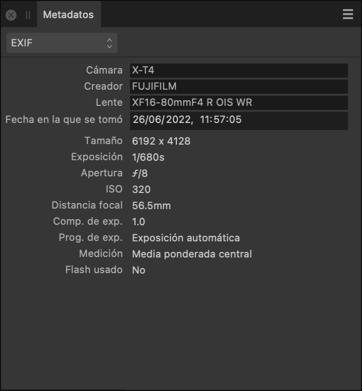 Panel Metadatos que muestra campos EXIF que describen el hardware y la configuración de la cámara cuando se tomó una imagen