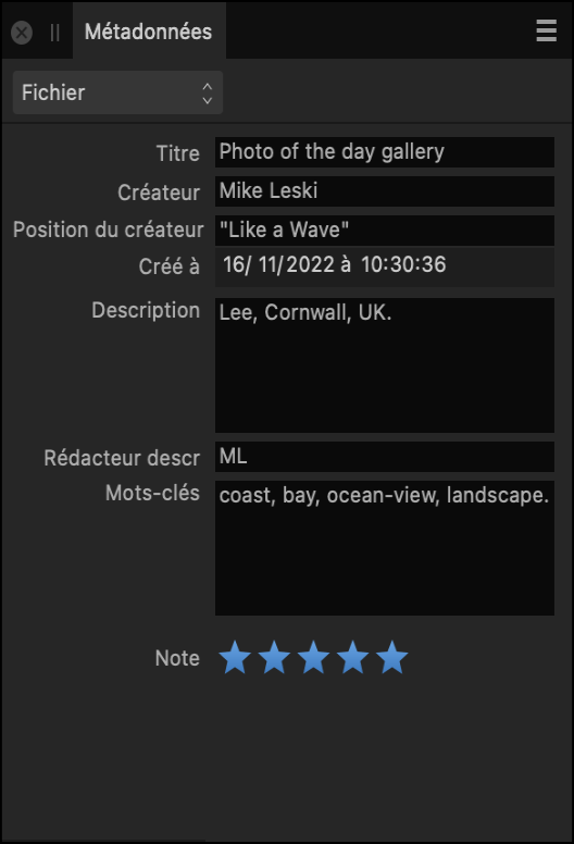 Sous-fenêtre Métadonnées affichant la description générale de l’image et des informations sur l’auteur