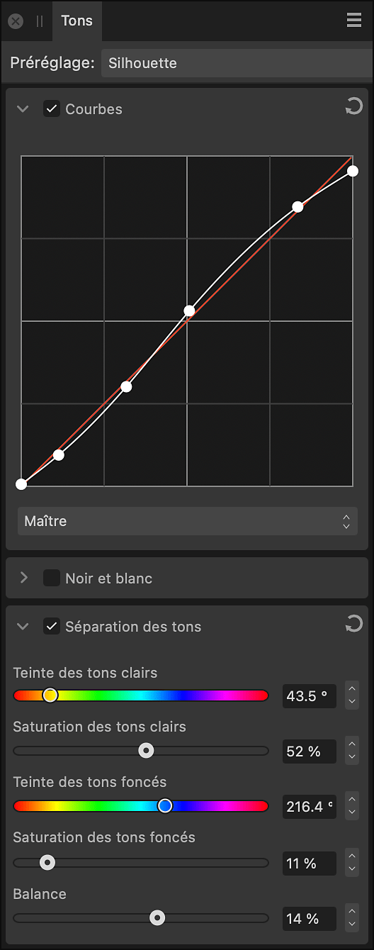 Sous-fenêtre Tons dans Develop Persona