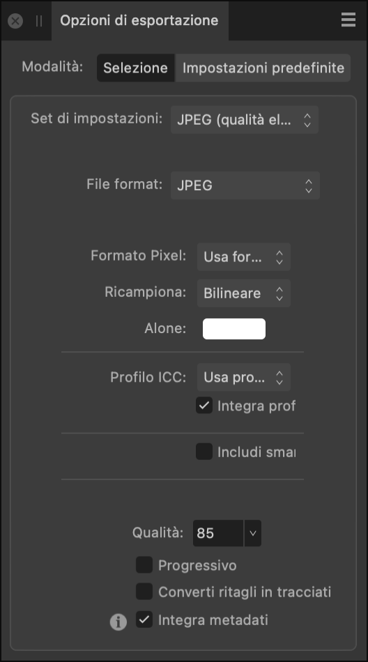 Pannello Opzioni di esportazione