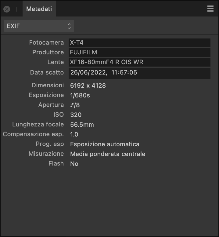 Pannello dei metadati con i campi EXIF che descrivono l’hardware e le impostazioni della fotocamera quando è stata scattata l’immagine