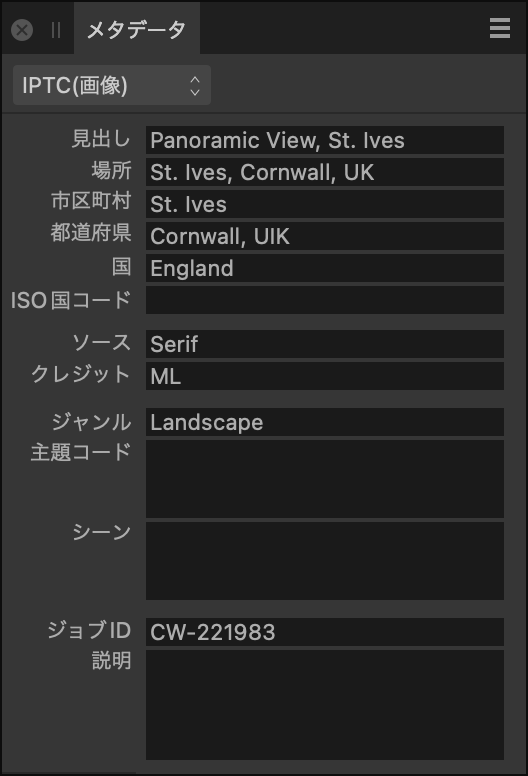 画像コンテンツ、ソース、クレジットを説明するIPTCフィールドを示すメタデータパネル