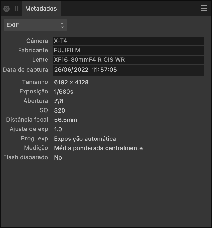 Painel Metadados mostrando campos EXIF com descrição de configurações e hardware de câmera quando a imagem foi tirada