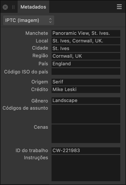 Painel Metadados mostrando campos IPTC que descrevem o conteúdo, a fonte e os créditos da imagem