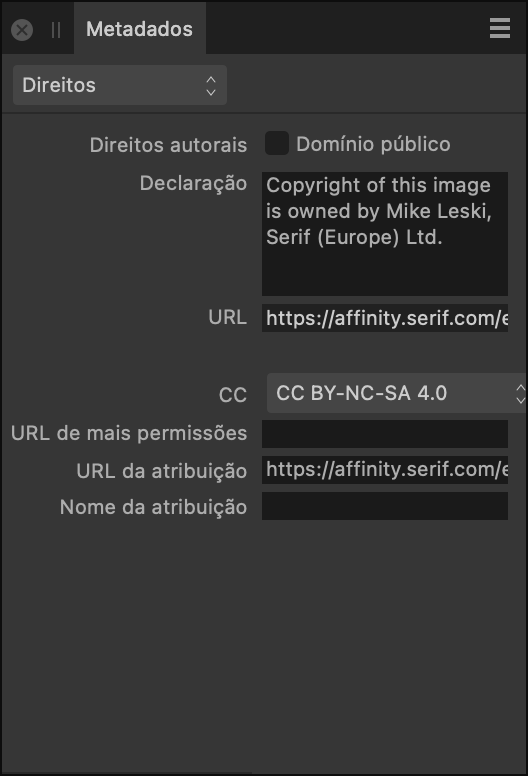 Painel Metadados mostrando informações de direitos sobre uma imagem
