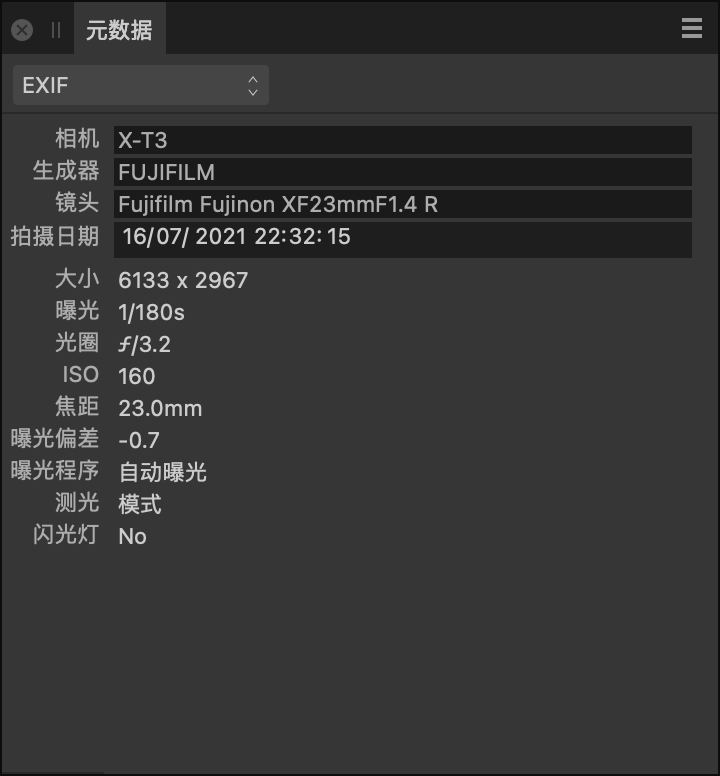 “元数据”面板显示 EXIF 字段，这些字段描述了拍摄图像时的相机硬件和设置