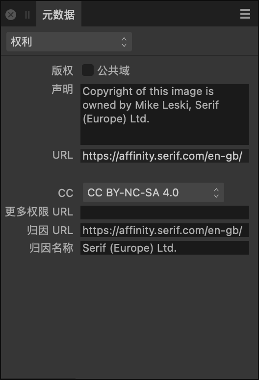 “元数据”面板显示有关图像的版权信息
