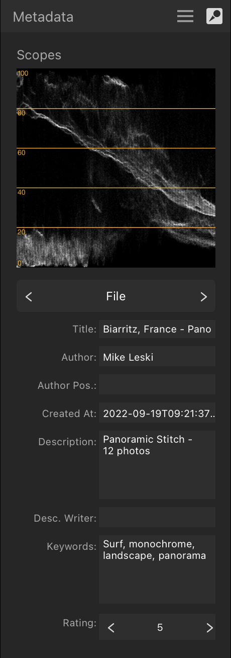 Metadata panel showing general image description and author details