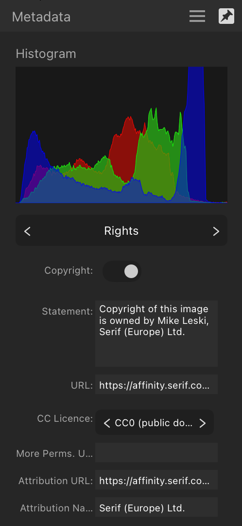 Metadata panel showing rights information about an image