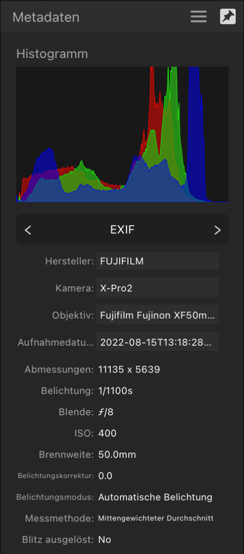 Das Panel "Metadaten"