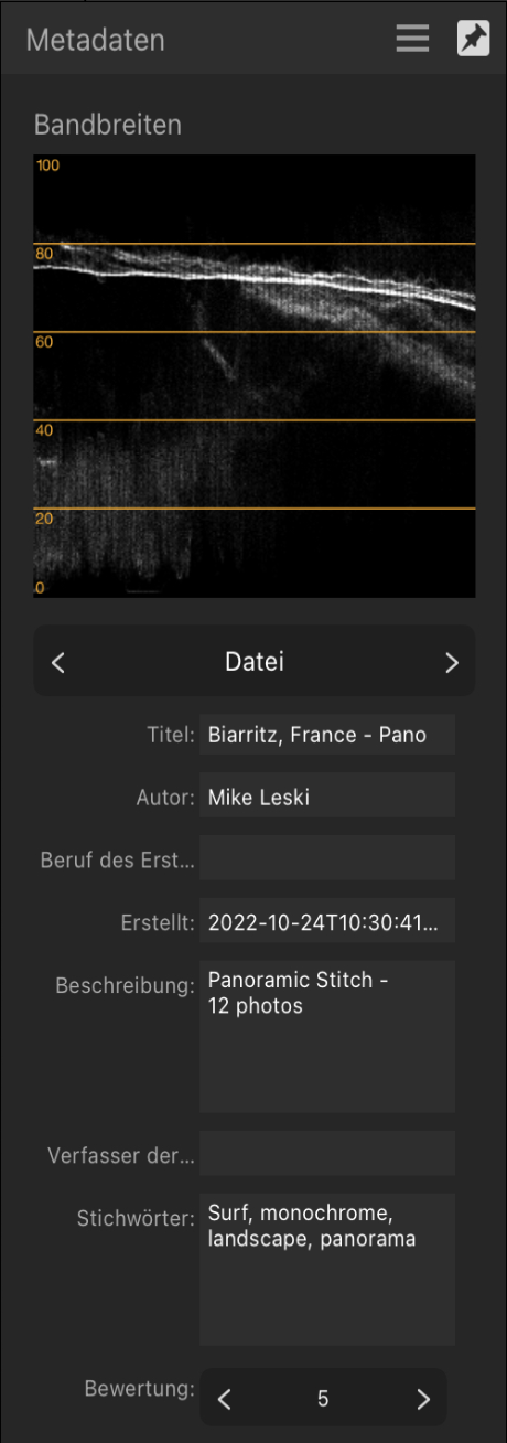Das Panel für Metadaten mit allgemeinen Bildinformationen und der Angabe für den Autor des Bildes.