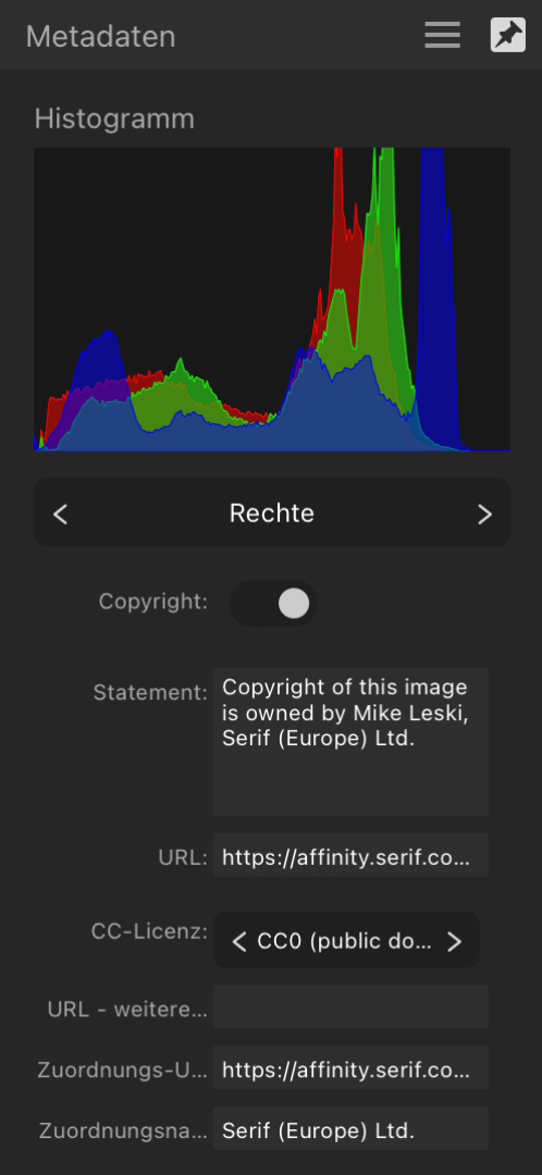 Das Panel für Metadaten mit rechtlichen Informationen über ein Bild.