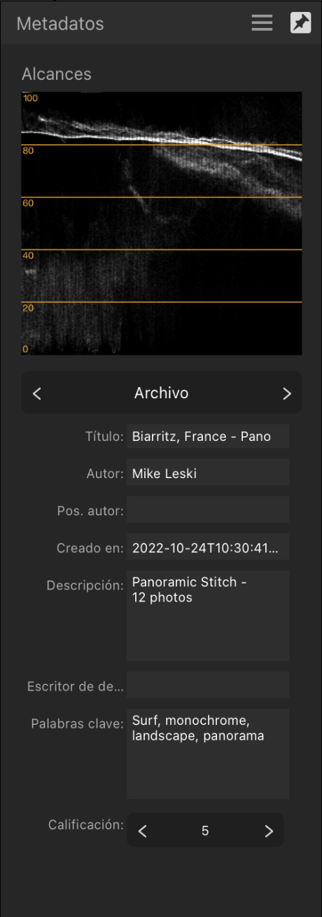 Panel Metadatos muestra la descripción general de la imagen y los detalles del autor