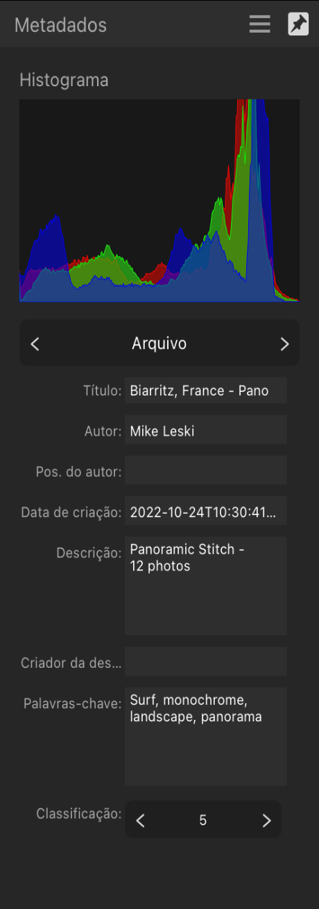 Painel Metadados mostrando a descrição geral da imagem e detalhes do autor