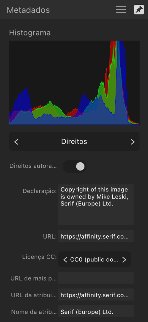 Painel Metadados mostrando informações de direitos sobre uma imagem