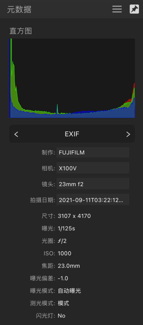 “元数据”面板