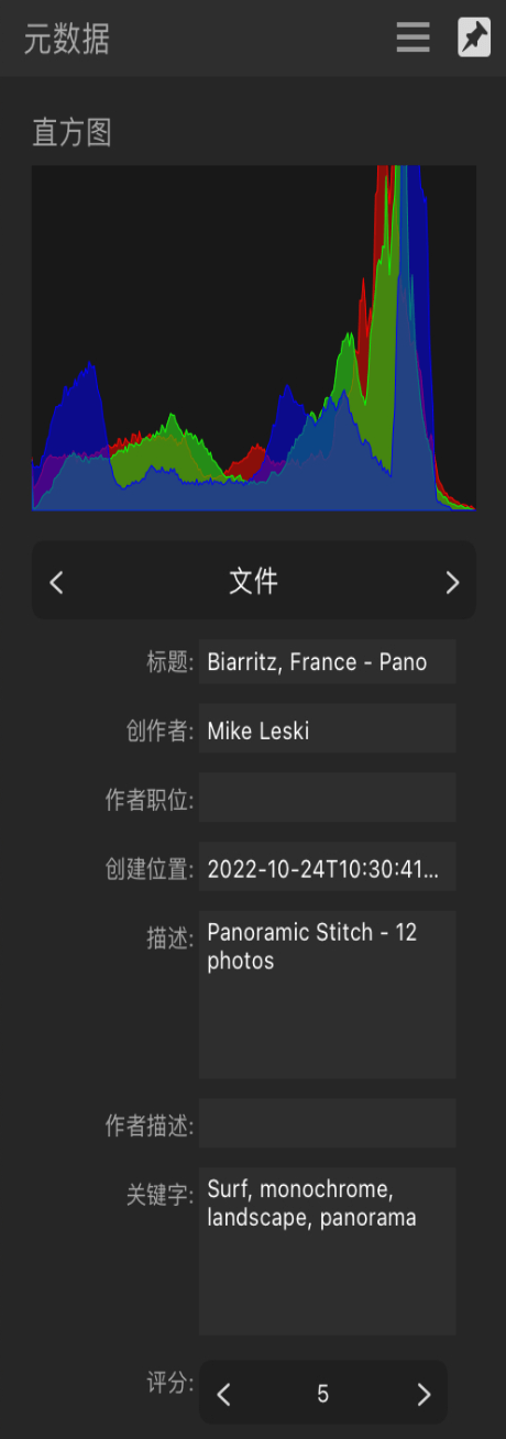 “元数据”面板显示常规图像描述和作者详细信息