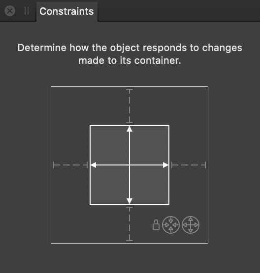 Constraints panel