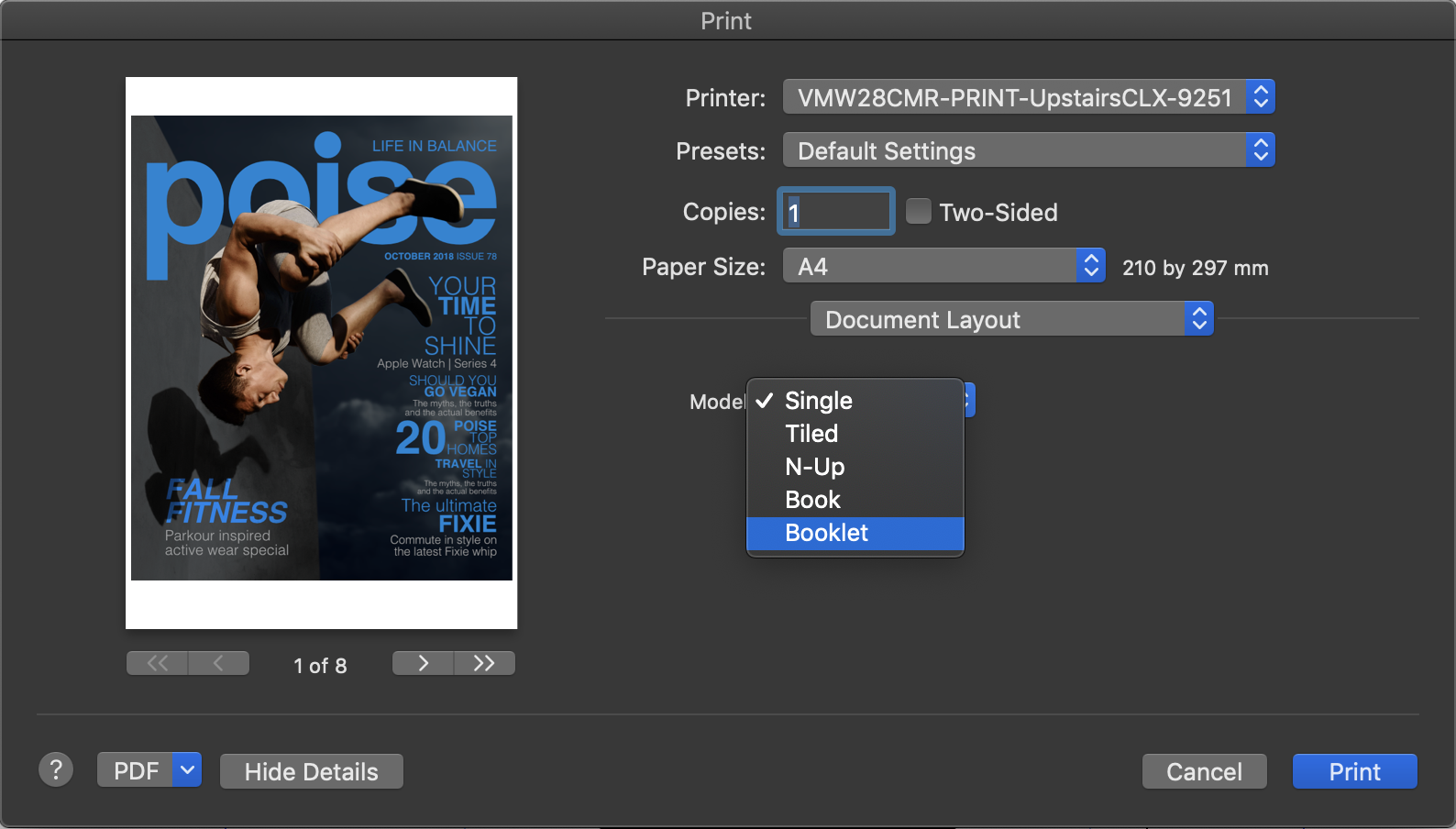 Print dialog showing layout options