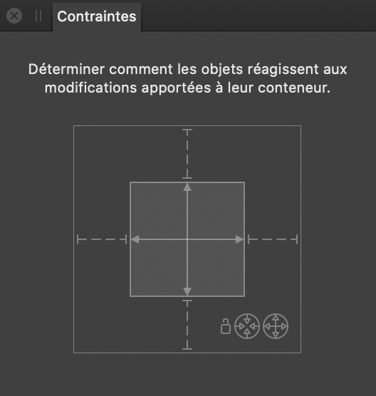 Sous-fenêtre Contraintes