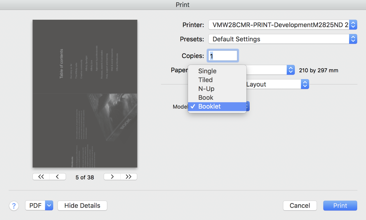 打印对话框显示布局选项